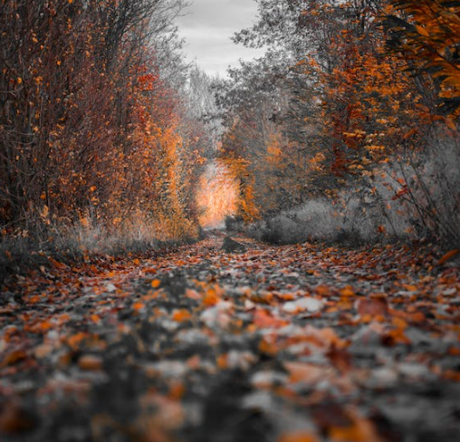 수능 당일 날씨