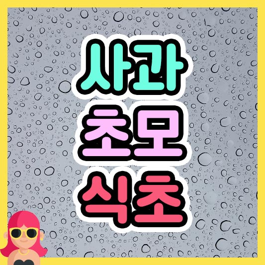 섬네일 사과초모식초