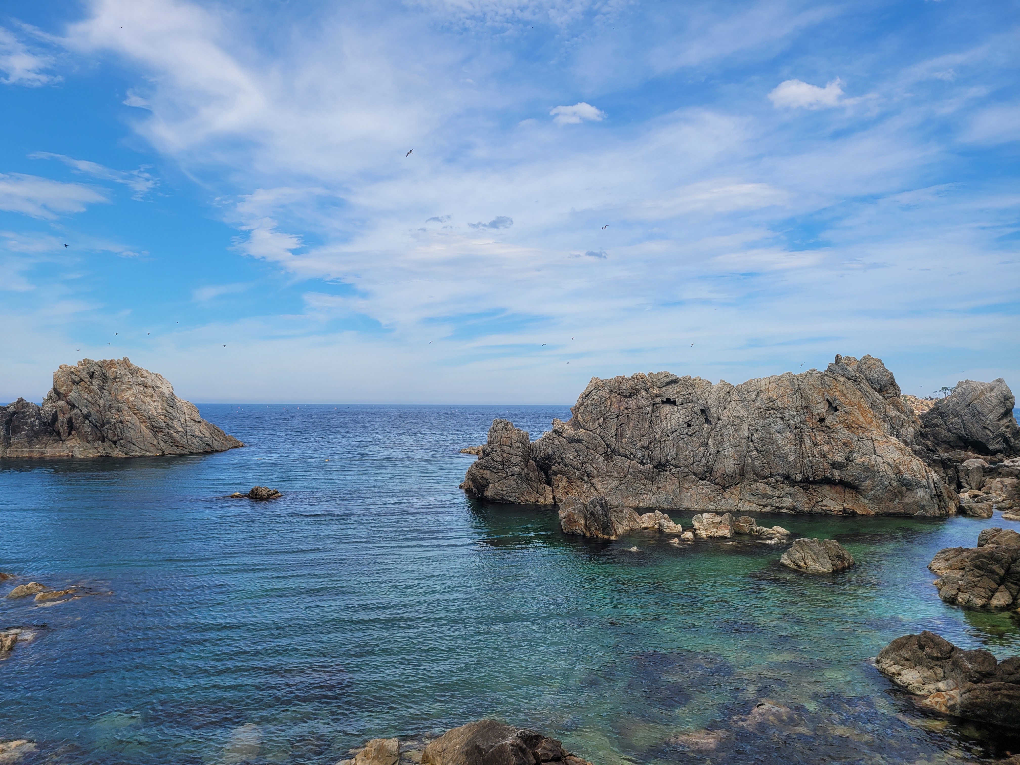 이미지-alt-태그-장호항 해변