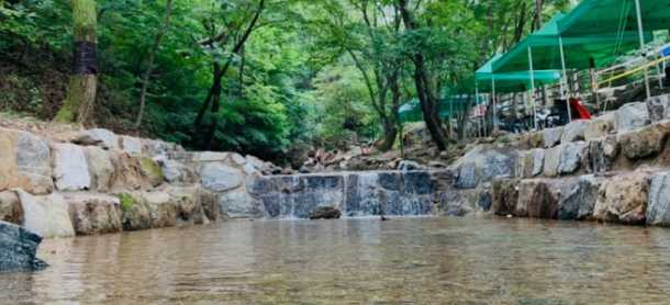 서울대공원 캠핑장 예약