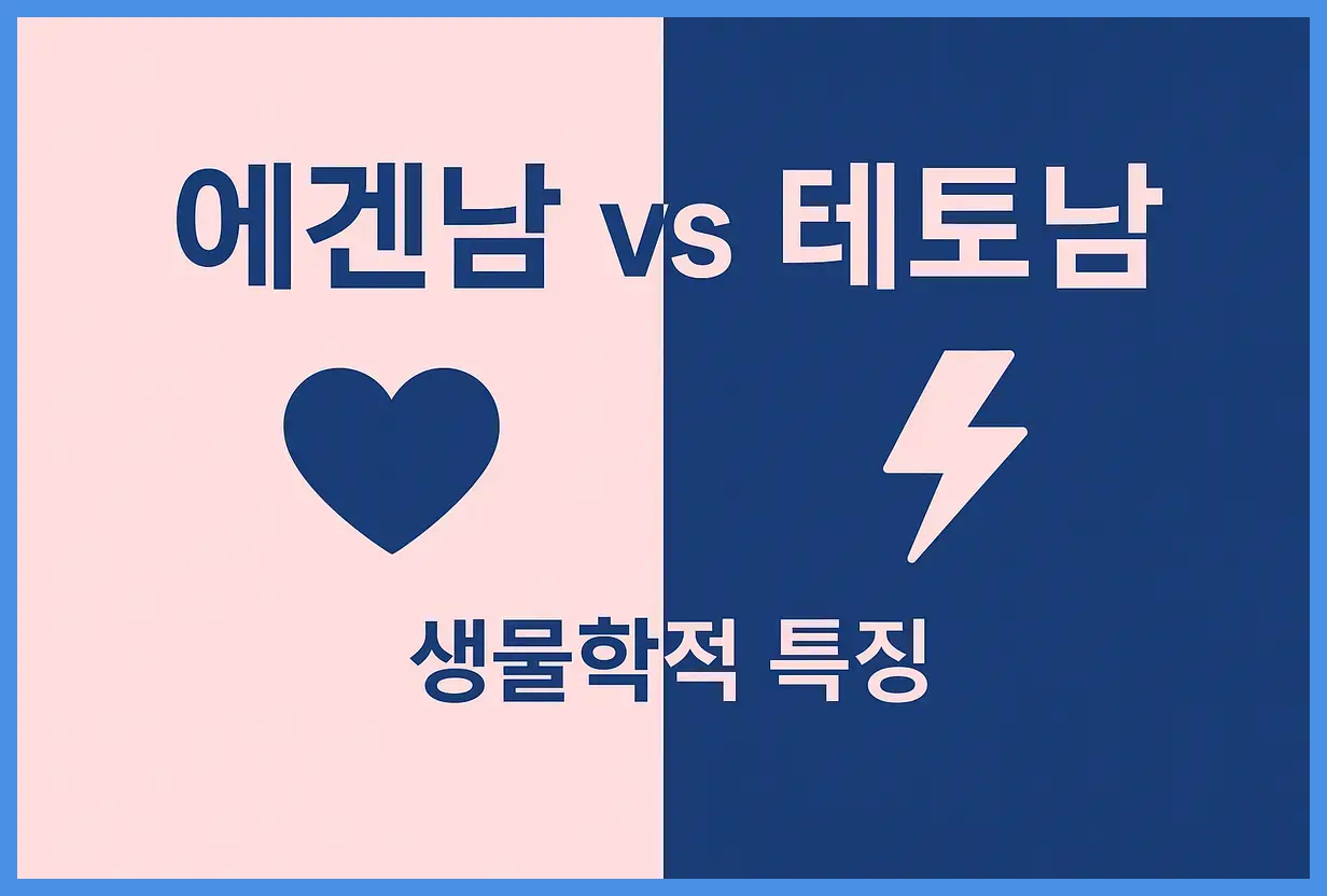 에스트로겐과 테스토스테론