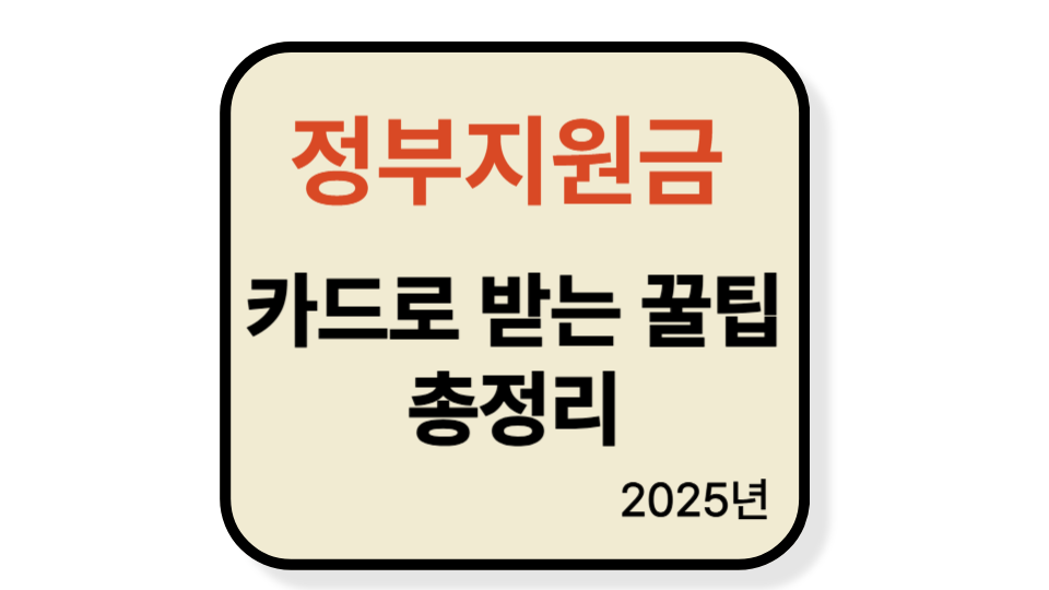2025 정부지원금 카드사별 신청방법 총정리