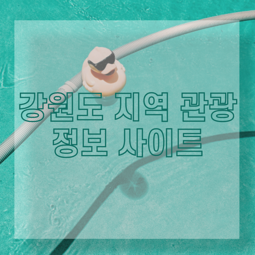 강원도 지역 관광 정보 사이트 BEST 2