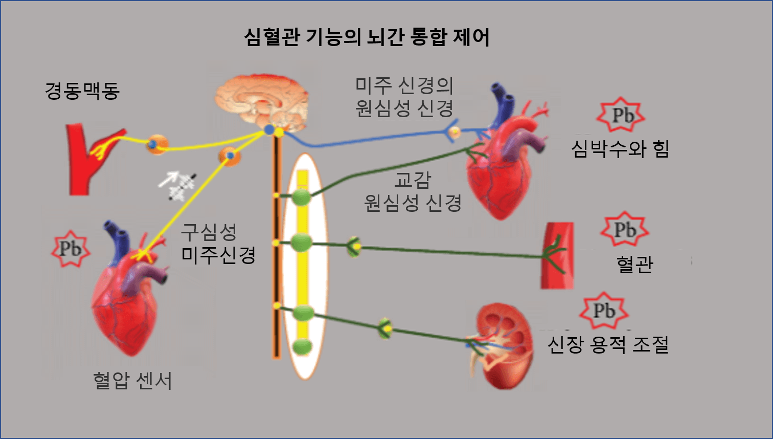 마이크로바이옴