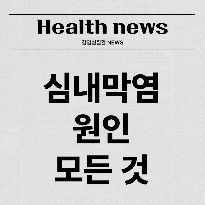 심내막염 원인