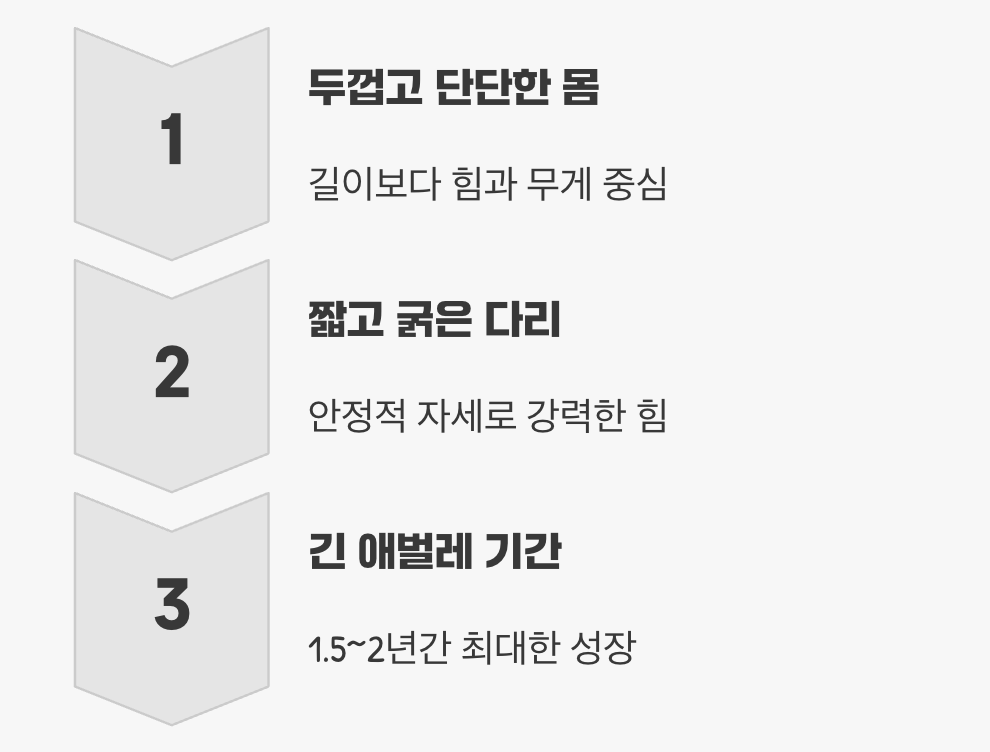 '힘'에 모든 것을 건 생존 전략