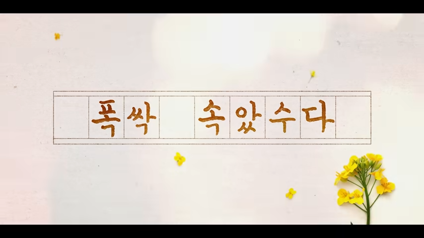 폭싹 속았수다, 아이유와 박보검의 넷플릭스 신작