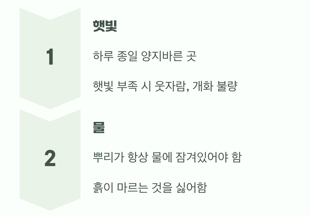 이 꽃이 사랑하는 단 두 가지