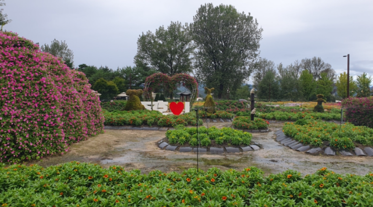 자라섬 꽃 페스타