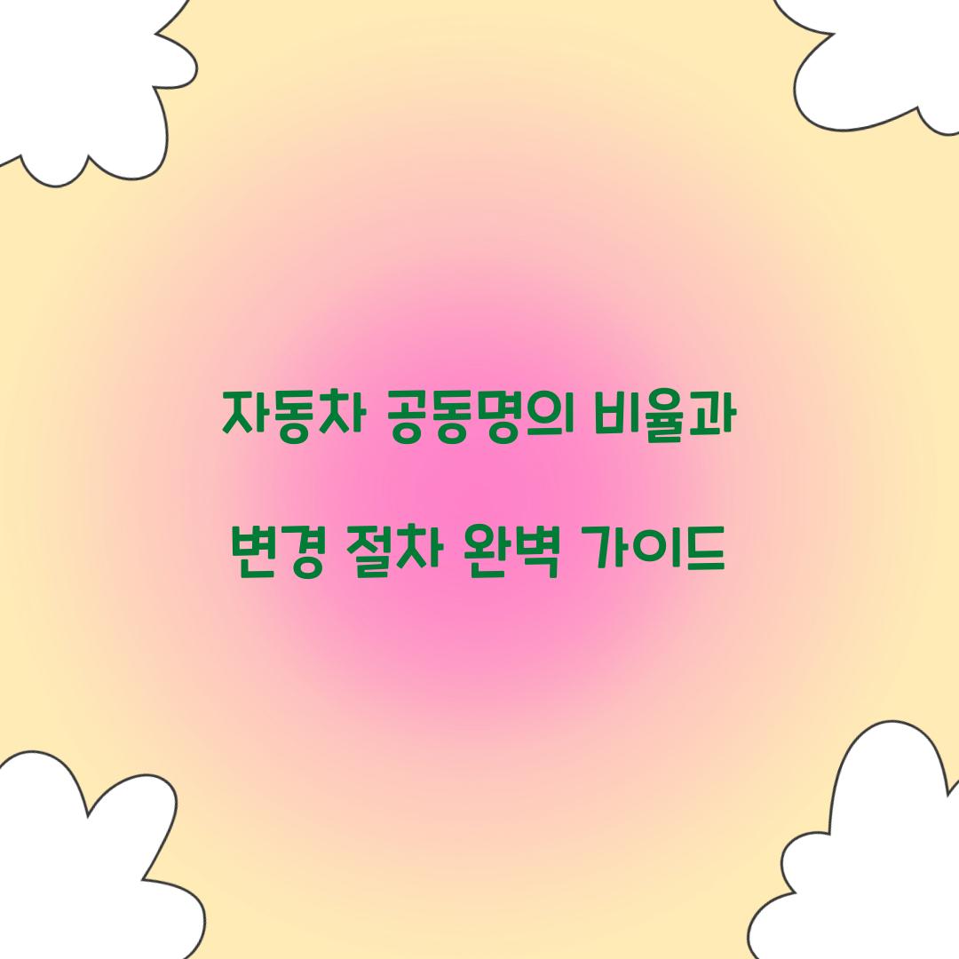 자동차 공동명의 비율