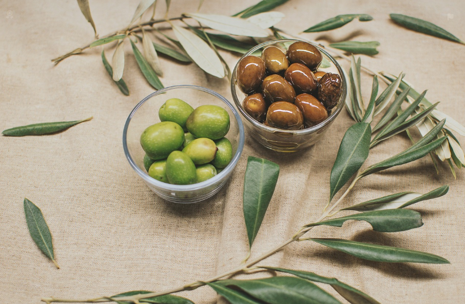 유럽 장수 마을 식단 올리브