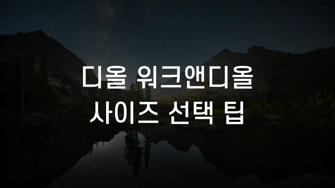디올 워크앤디올 사이즈 선택 팁