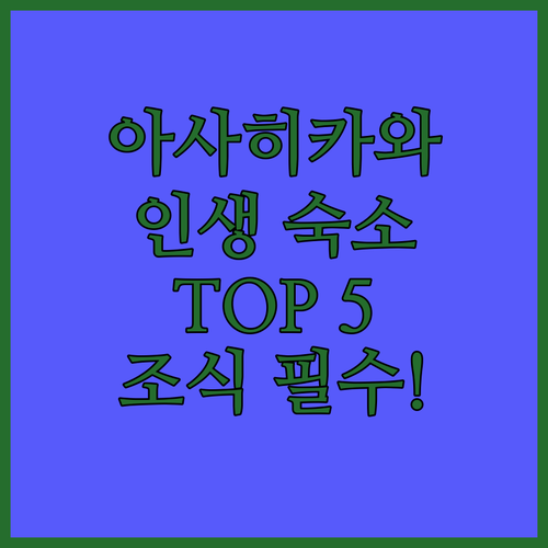 홋카이도 아사히카와 숙소 추천 TOP..