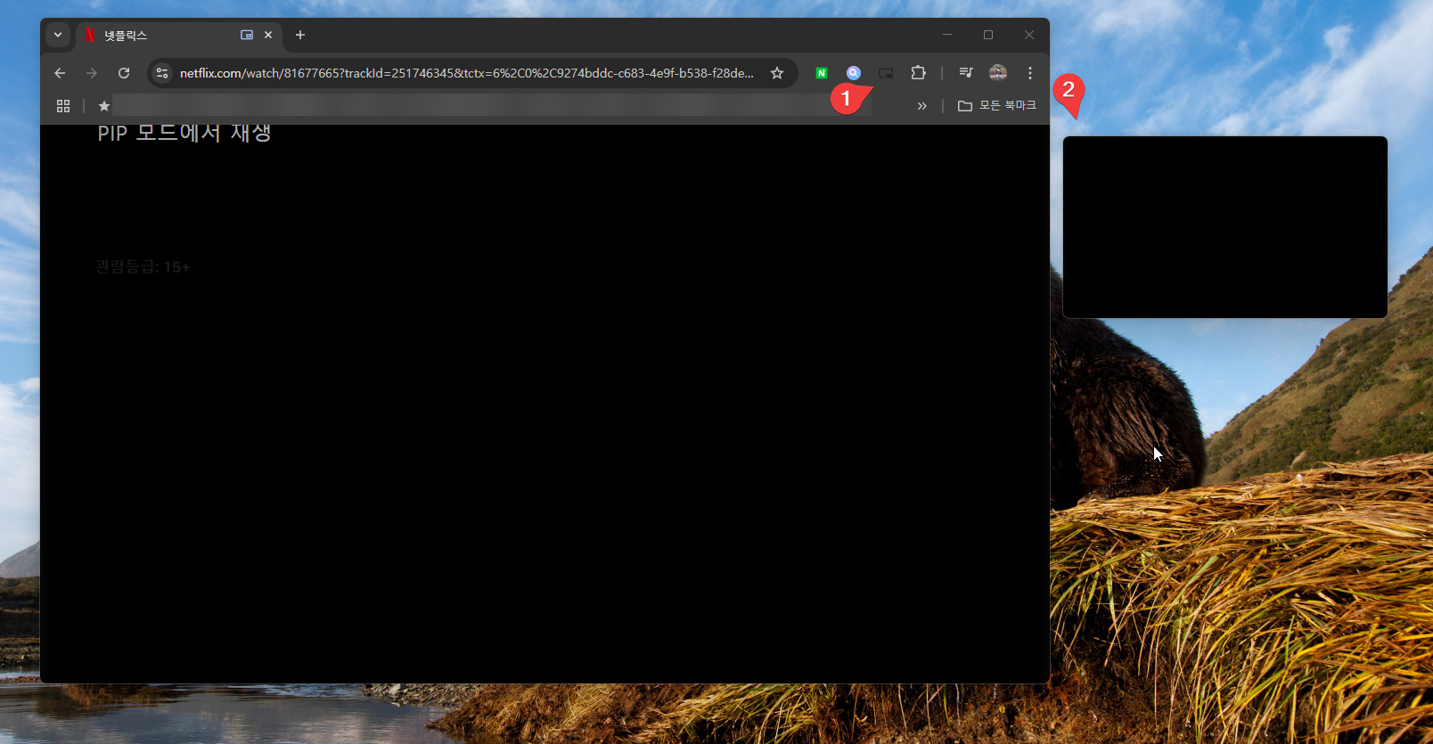 윈도우 크롬 브라우저에서 넷플릭스 PIP 모드 사용하는 방법3