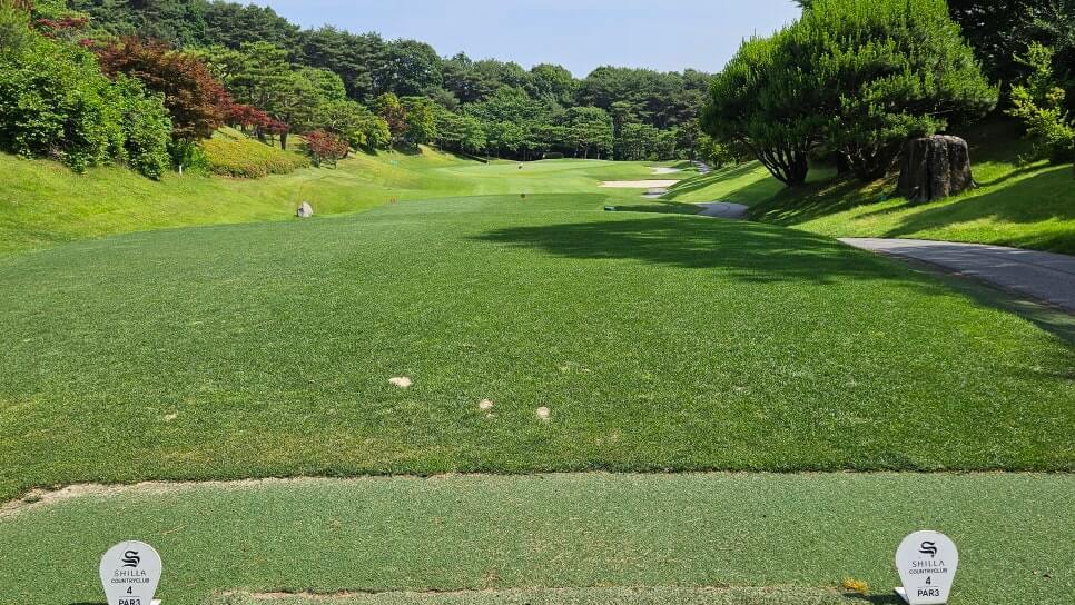 골프장 경험담 여주 신라CC 전통의 품격과 현대의 감성이 만나는 곳 완벽 가이드