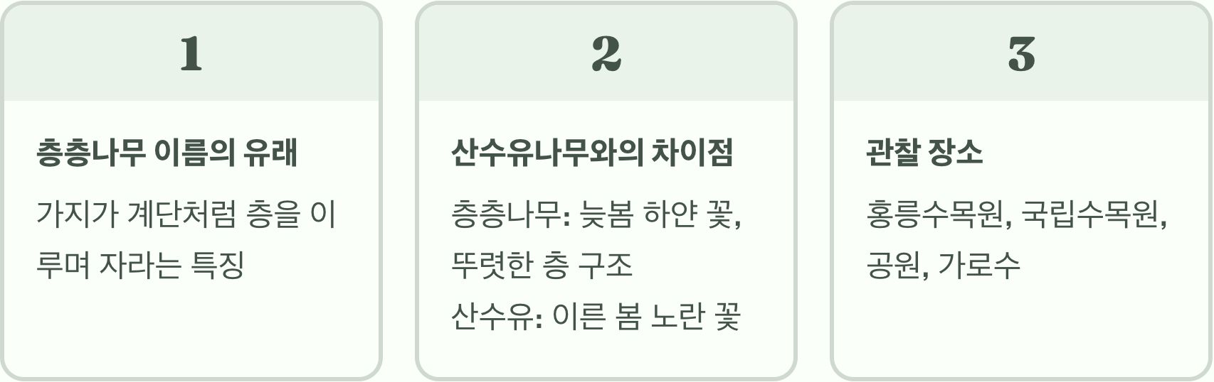 가지가 층계를 이루는 나무, 층층나무의 모든 것