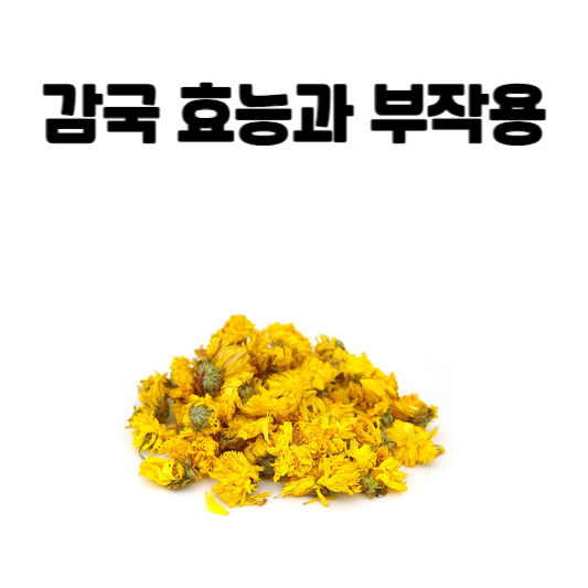 감국 효능과 부작용
