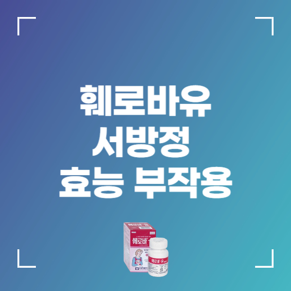 훼로바-유 서방정 효능 복용법 가격 부작용
