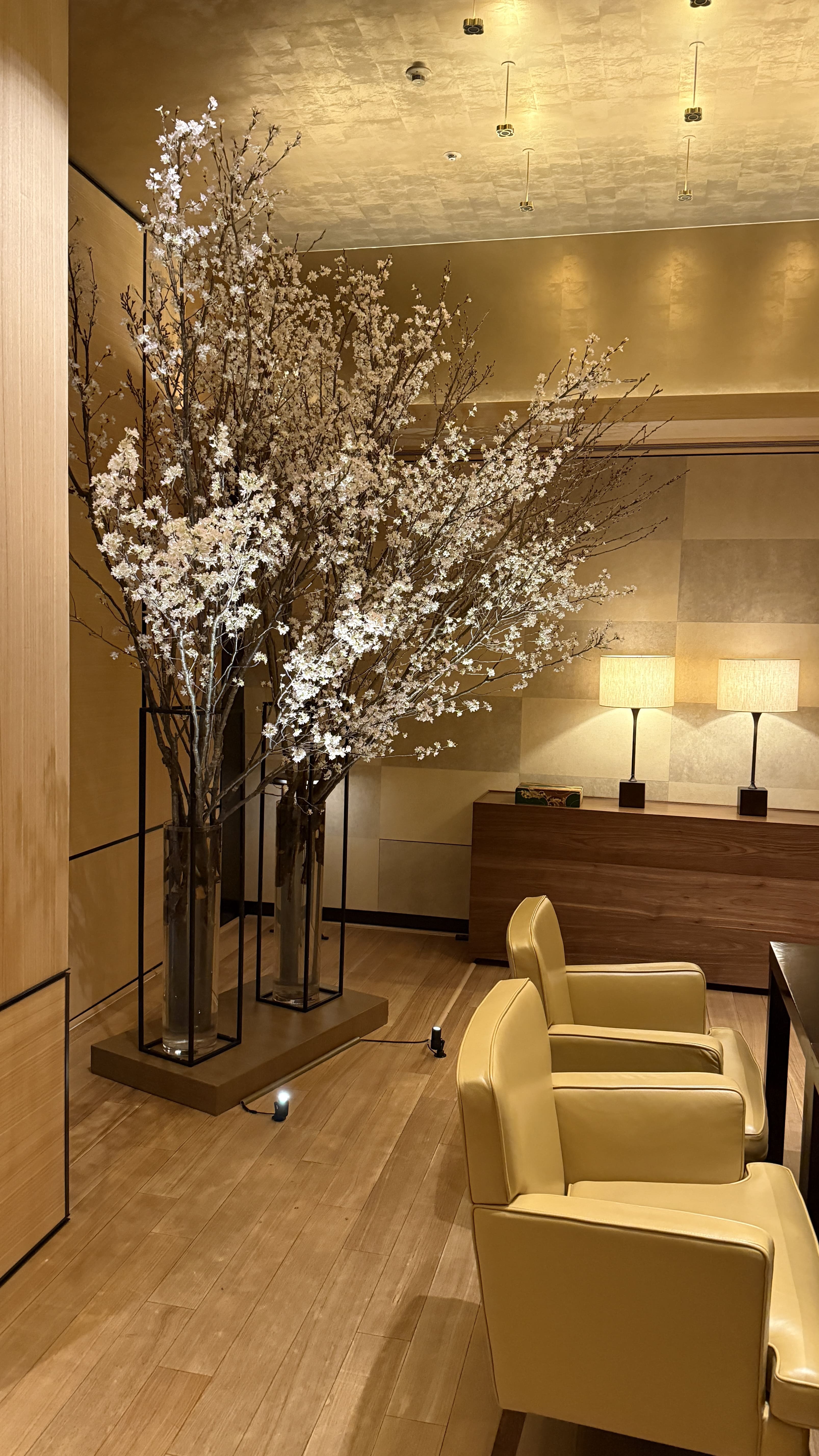 교토여행-기요미즈데라-가이세키-점심-파크-하얏트-교토