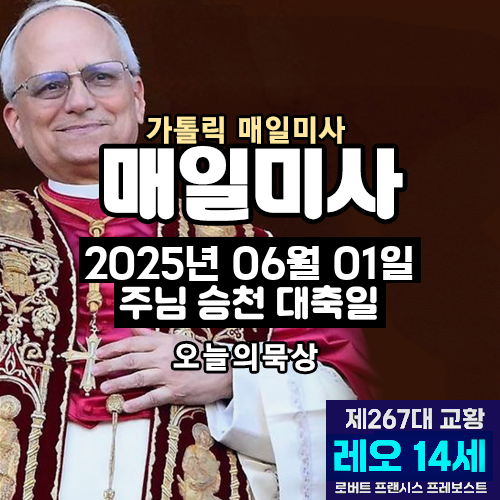 2025년 6월 1일 매일미사 주님 승천 대축일 오늘의 묵상