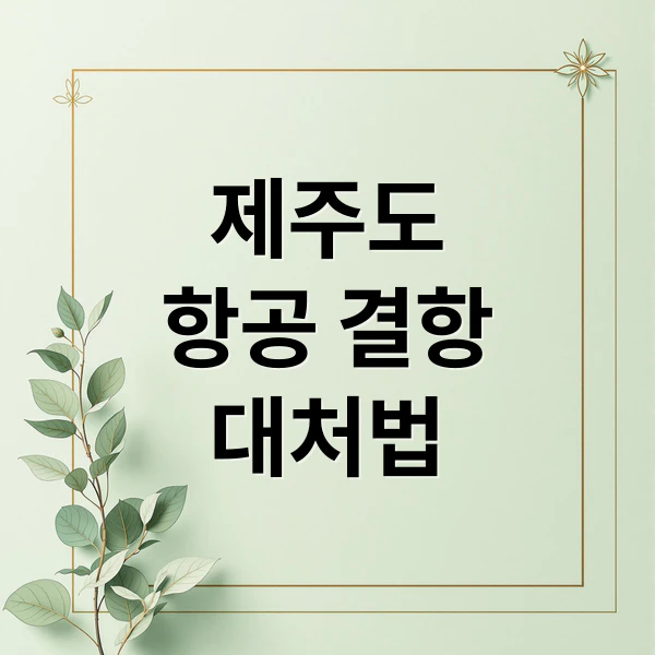 제주도 항공 결항 대처법 문구