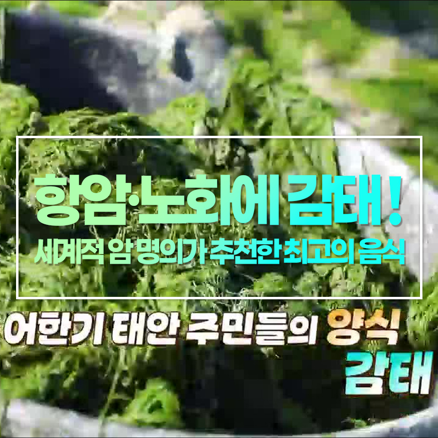 감태, 항암·노화 방지에 탁월! 세계적 암 명의가 추천한 최고의 음식