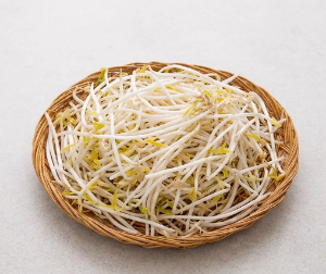 숙주