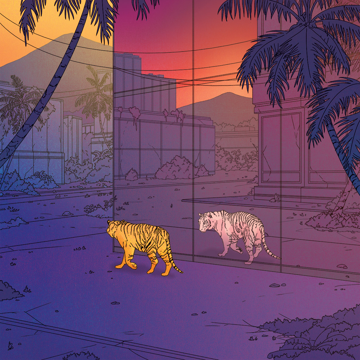 Illustrator Spotlight: Liam Cobb