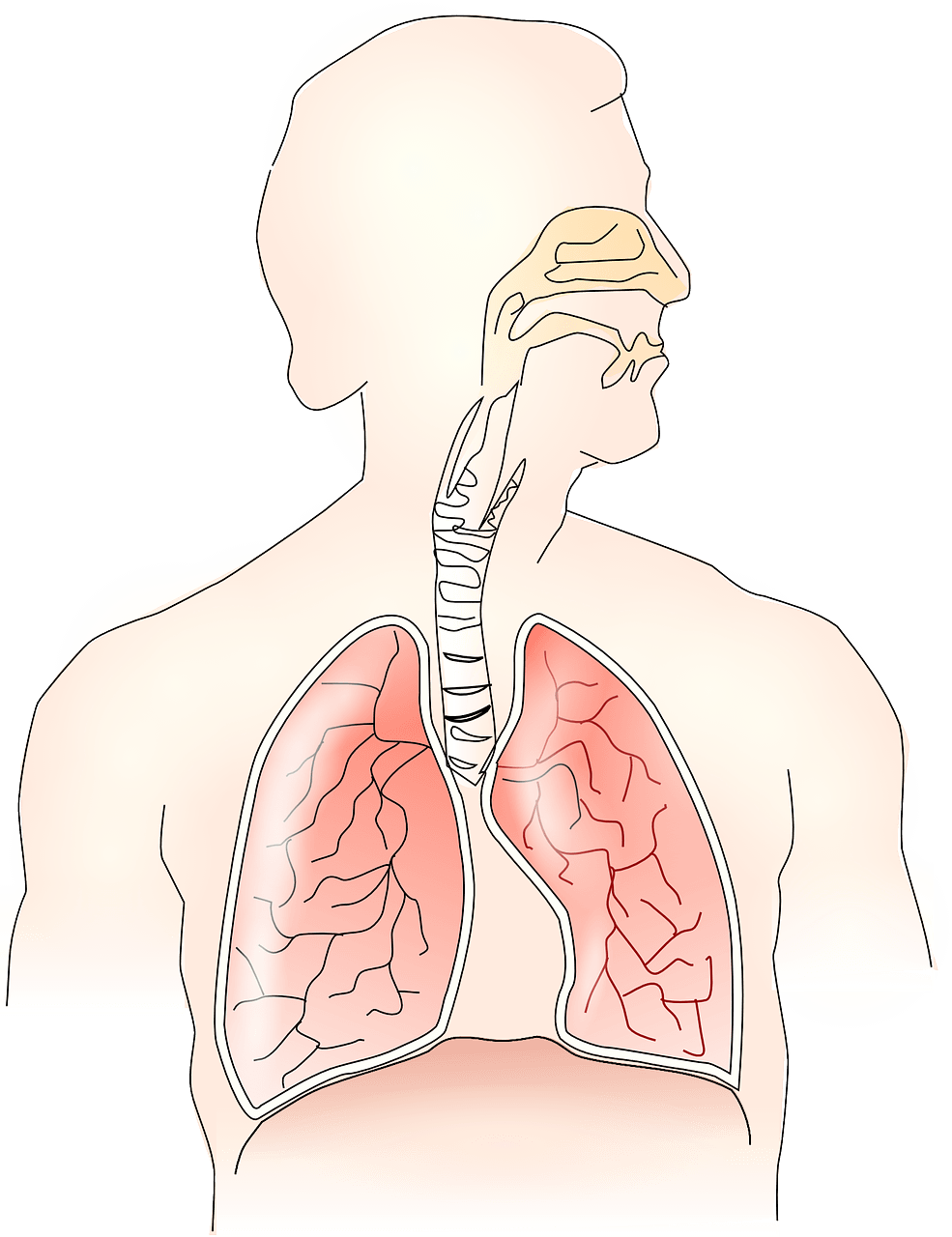 기침이 오래가면 의심되는 질병