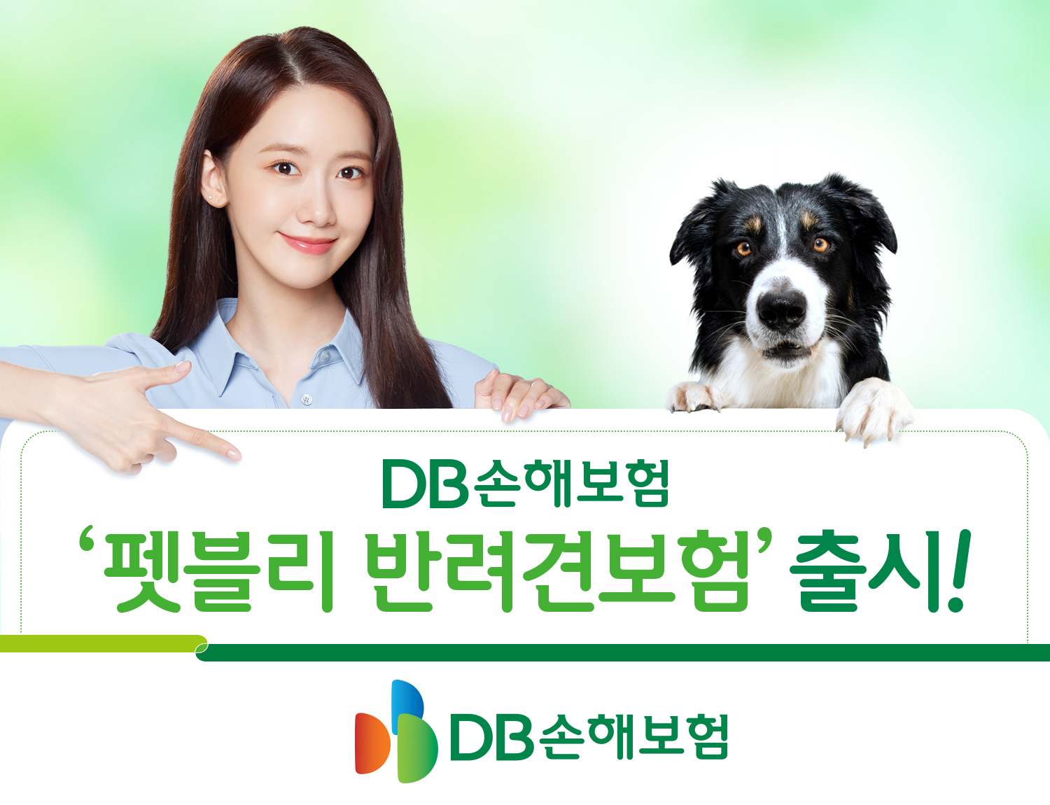 펫보험 비교 추천 총정리