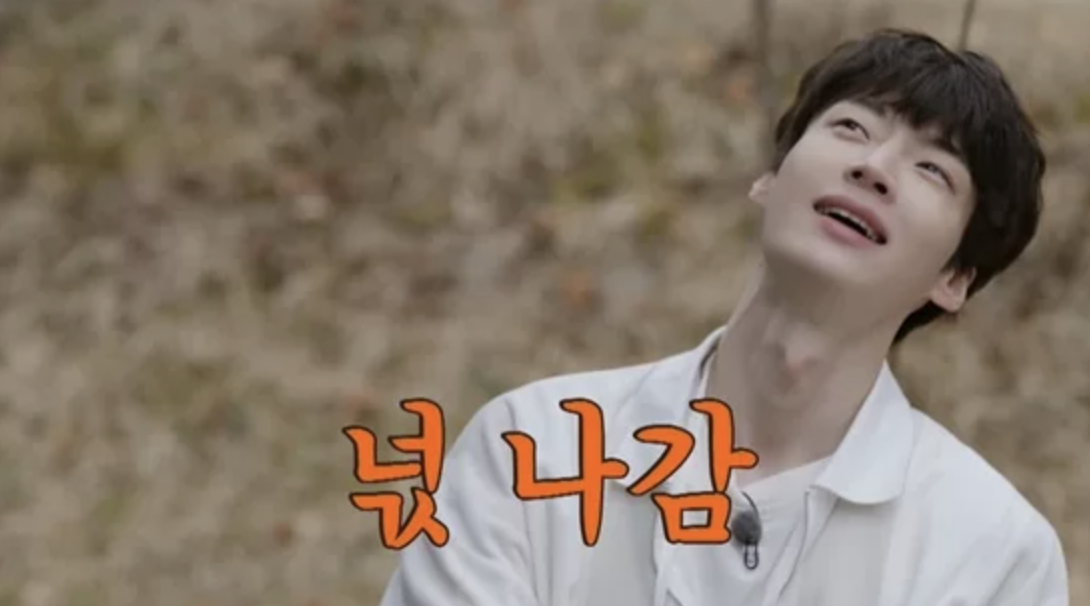 안재현 신서유기 복귀