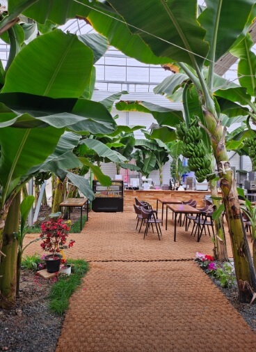 생생정보 믿고 떠나는 스타고장 가수 홍경민의 전라남도 함평 여행 한우 함평육회비빔밥 맛집 화랑식당 함평나비대축제 주포지구 한옥전원마을 함평 바나나 생태나라