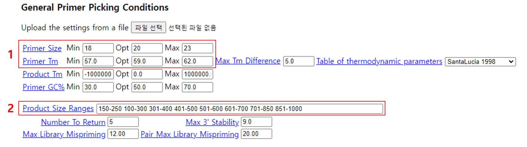 Primer-design-options