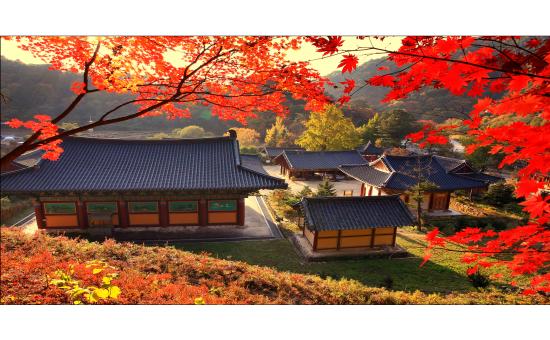 가을 홍천 수타사 단풍 여행 절정 시기와 산소길 코스 가이드