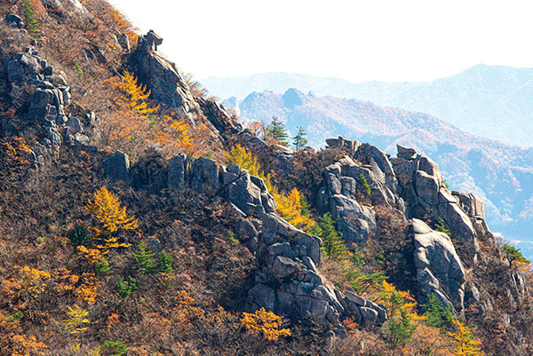 팔공산 등산코스 추천