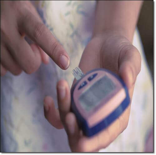 당뇨병에 도움이 되는 만가닥버섯