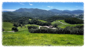 대관령 양떼목장