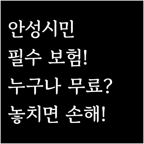 2025 안성시민안전보험, 안성 시민..