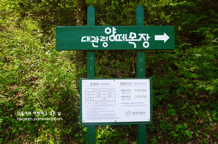 평창 가볼만한곳