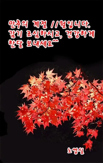11월 인사말 모음 예시 멘트_3