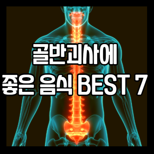 골반괴사에 좋은 음식 BEST 7