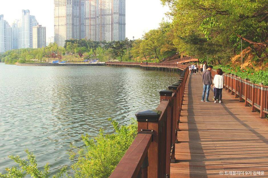 튤립명소 수원 광교호수공원