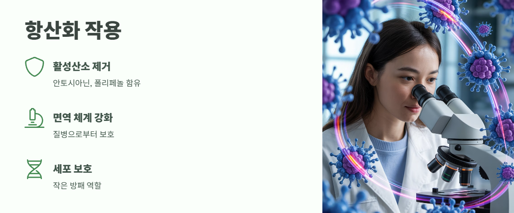 보리수 열매 효능 쉽게 정리 2