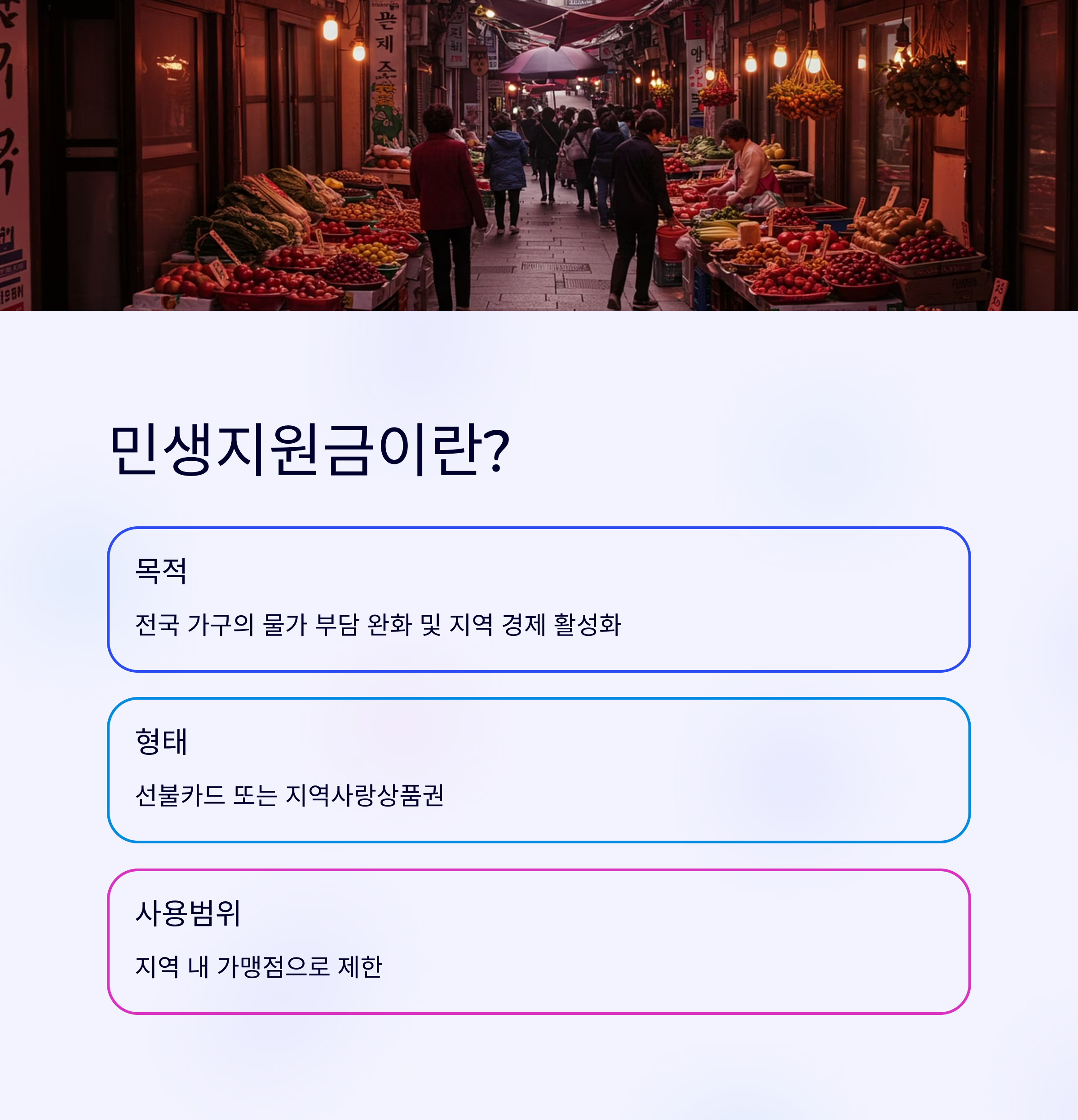 2025 민생지원금