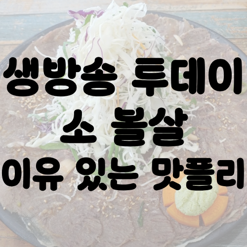 생방송 투데이 소 볼살 이유 있는 맛플리