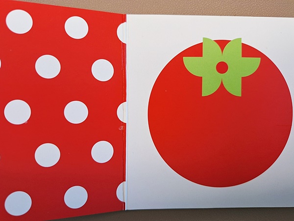 아기 변 매일 안봐도 괜찮을까요? 신생아 배변 리듬과 건강 체크