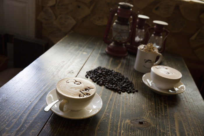 MBC 생방송 오늘 저녁 2219회 궤짝카페