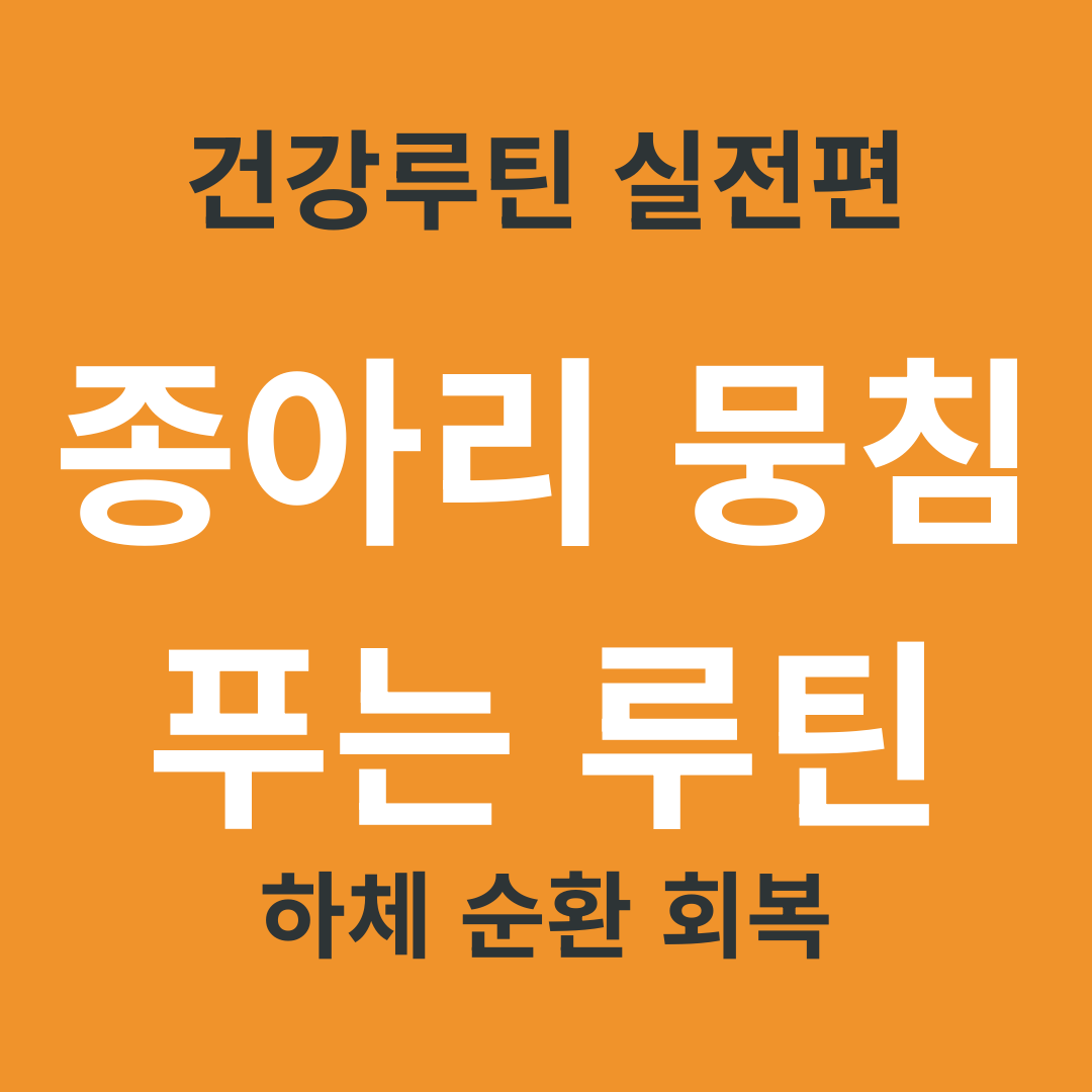 TV 건강 정보 요약 15. 종아리가 자주 뭉치는 이유와 하루 순환 회복 루틴