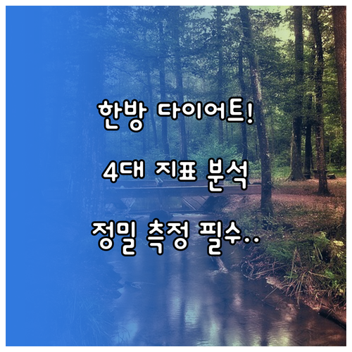 한방 다이어트 체성분 분석 4대 핵심..