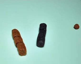 똥이 까만색 검정똥 원인과 질병 가능성_20